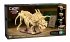 CaDA Dinosaurier Fossil Triceratops... - Bild 2