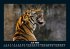 Welt der Tiere 2026 Fotokalender DIN A5 - Bild 12