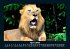 Welt der Tiere 2026 Fotokalender DIN A5 - Bild 9