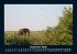 Bilder der Natur 2026 Fotokalender DIN... - Bild 2