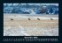 Bilder der Natur 2026 Fotokalender DIN... - Bild 5