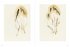Performing Matters, flesh hues,... - Bild 6