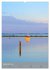 Das ist Nordholland! (Wandkalender 2026... - Bild 15