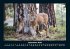 Waldbewohner 2026 Fotokalender DIN A4 - Bild 2