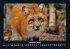 Waldbewohner 2026 Fotokalender DIN A4 - Bild 3