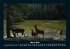 Waldbewohner 2026 Fotokalender DIN A4 - Bild 8