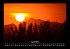 Bilder der Natur 2026 Fotokalender DIN... - Bild 9