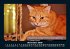 Katzen 2026 Fotokalender DIN A5 - Bild 4