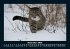Katzen 2026 Fotokalender DIN A5 - Bild 5