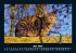 Katzen 2026 Fotokalender DIN A5 - Bild 10