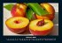 Obstkalender 2026 Fotokalender DIN A4 - Bild 7
