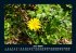 Naturlandschaften 2026 Fotokalender DIN... - Bild 11