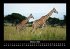 Tiere in der Wildnis 2026 Fotokalender... - Bild 3