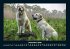 Der Hundekalender 2026 Fotokalender DIN... - Bild 5