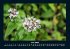 Blick in die Natur 2026 Fotokalender... - Bild 11
