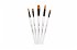 Darwi For You, Set mit 5 mittelgroßen... - Bild 3
