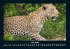 Welt der Tiere 2026 Fotokalender DIN A4 - Bild 12