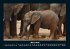 Welt der Tiere 2026 Fotokalender DIN A4 - Bild 8