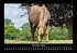 Die Welt der Pferde 2026 Fotokalender... - Bild 5