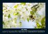 Blumenzauber 2026 Fotokalender DIN A5 - Bild 12