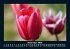 Blumenzauber 2026 Fotokalender DIN A5 - Bild 5