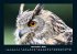 Tiere in der Wildnis 2026 Fotokalender... - Bild 4