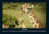 Giraffen 2026 Fotokalender DIN A4 - Bild 12
