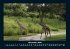 Giraffen 2026 Fotokalender DIN A4 - Bild 4