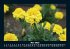 Blumenkalender 2026 Fotokalender DIN A5 - Bild 10