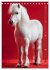 Das Leben ist ein Ponyhof - Zwergponys... - Bild 14