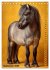 Das Leben ist ein Ponyhof - Zwergponys... - Bild 15