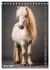 Das Leben ist ein Ponyhof - Zwergponys... - Bild 9