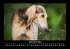 Hunde 2026 Fotokalender DIN A3 - Bild 2