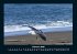 Meereslandschaft 2026 Fotokalender DIN... - Bild 7