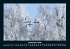 Winterzauber 2026 Fotokalender DIN A4 - Bild 5