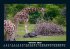Giraffen 2026 Fotokalender DIN A5 - Bild 3