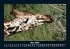 Giraffen 2026 Fotokalender DIN A5 - Bild 10