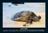 Schildkrötenzauber 2026 Fotokalender... - Bild 9