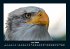 Adler 2026 Fotokalender DIN A4 - Bild 11