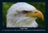 Adler 2026 Fotokalender DIN A4 - Bild 13