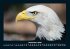 Adler 2026 Fotokalender DIN A4 - Bild 5