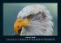 Adler 2026 Fotokalender DIN A4 - Bild 7