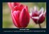Blumenzauber 2026 Fotokalender DIN A4 - Bild 4