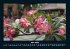 Blumenzauber 2026 Fotokalender DIN A4 - Bild 10