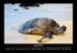 Schildkrötenzauber 2026 Fotokalender... - Bild 9