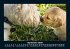 Hunde 2026 Fotokalender DIN A5 - Bild 2