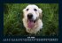 Hunde 2026 Fotokalender DIN A5 - Bild 12