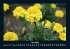 Blumen & Pflanzen 2026 Fotokalender DIN... - Bild 11