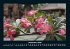 Blumen & Pflanzen 2026 Fotokalender DIN... - Bild 5