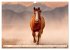 Pferde in freier Natur (Wandkalender... - Bild 11